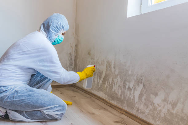 Asbestos and Lead Testing During Mold Inspection in Bowling Green, VA